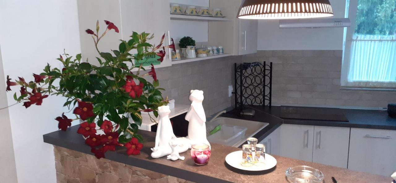 Raza Soarelui Apartament De Lux Совата Екстер'єр фото