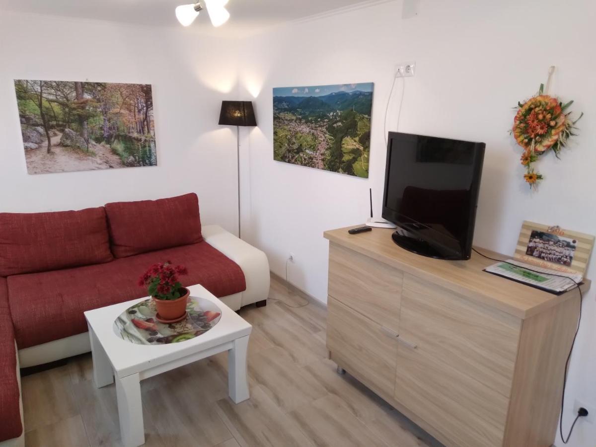 Raza Soarelui Apartament De Lux Совата Екстер'єр фото